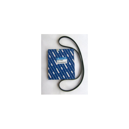 Product main image - 477dab12-f4fb-4a5f-9c29-4bd8b32bacae