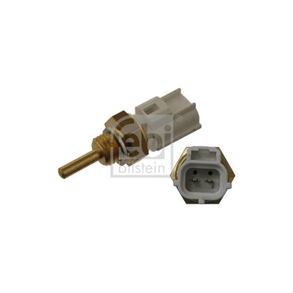 Product main image - 2efc045c-be9e-407a-bb3f-86d708ce2d74