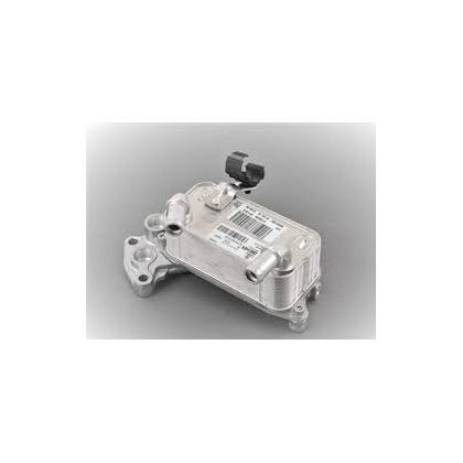 Product main image - 106c67e9-b185-424d-9be3-5654f0c8e1f5