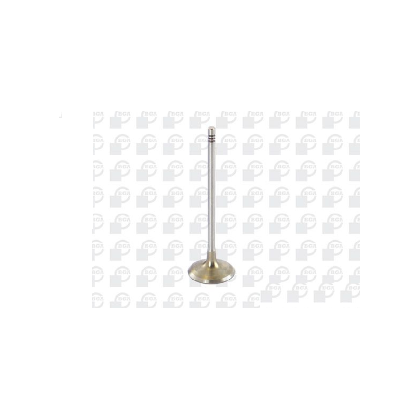 Product main image - ca2f8cbb-3229-4b3f-8c51-b16475b65ca7